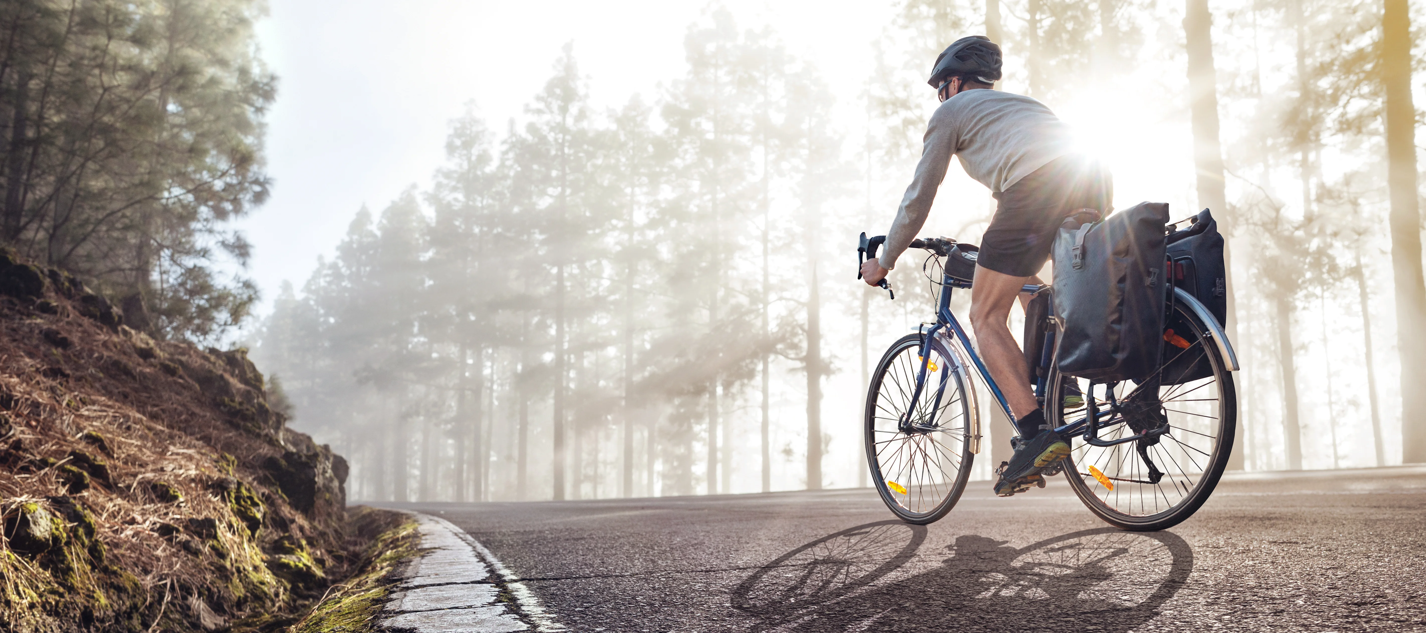 Bike Rentals in Victoria